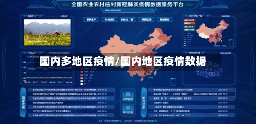 国内多地区疫情/国内地区疫情数据-第3张图片