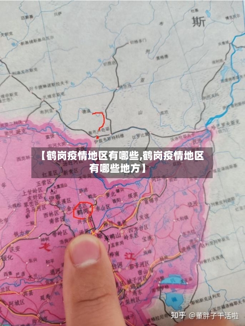 【鹤岗疫情地区有哪些,鹤岗疫情地区有哪些地方】-第3张图片