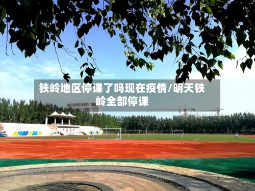 铁岭地区停课了吗现在疫情/明天铁岭全部停课