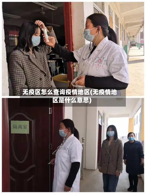 无疫区怎么查询疫情地区(无疫情地区是什么意思)-第2张图片