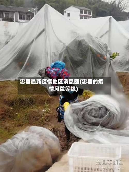 忠县最新疫情地区消息图(忠县的疫情风险等级)-第2张图片