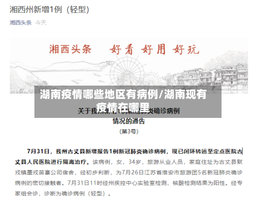 湖南疫情哪些地区有病例/湖南现有疫情在哪里