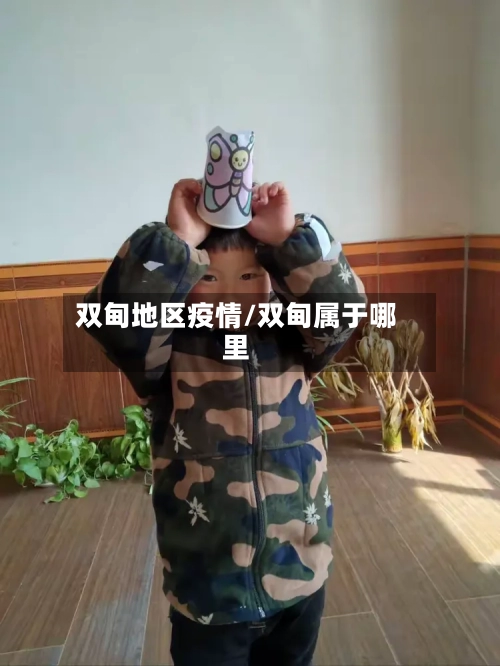 双甸地区疫情/双甸属于哪里-第2张图片