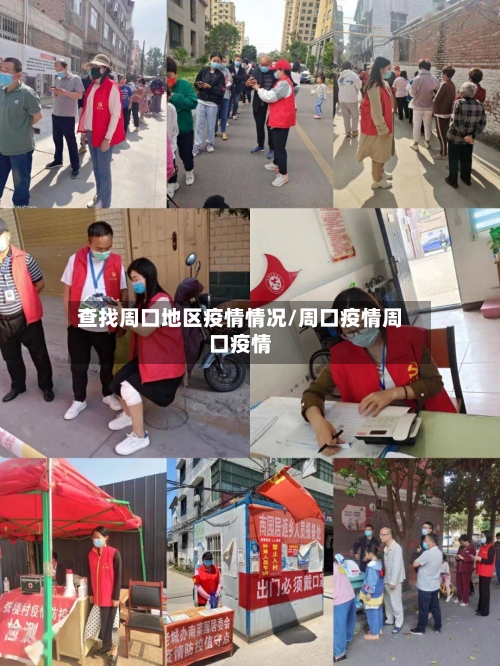 查找周口地区疫情情况/周口疫情周口疫情-第3张图片