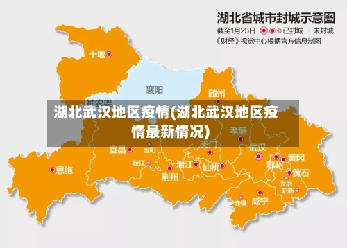 湖北武汉地区疫情(湖北武汉地区疫情最新情况)-第3张图片