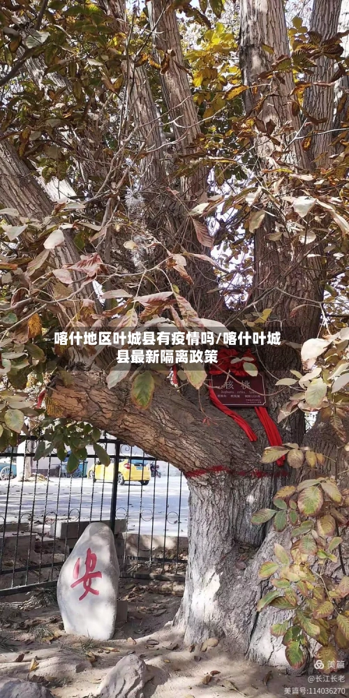 喀什地区叶城县有疫情吗/喀什叶城县最新隔离政策