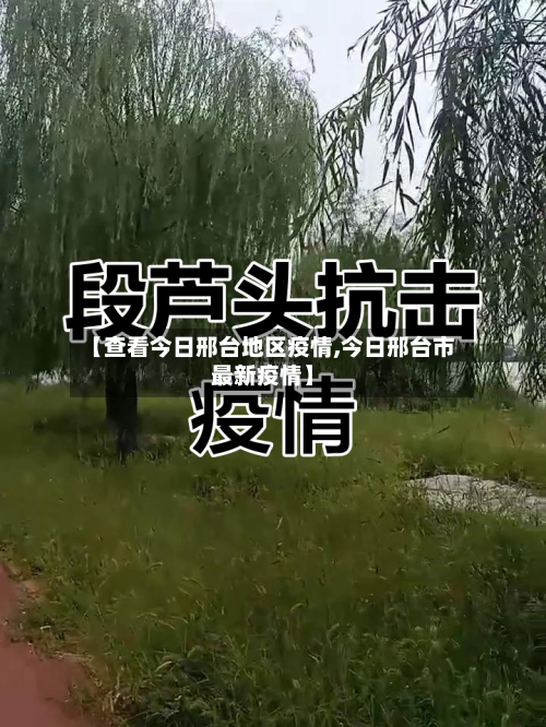 【查看今日邢台地区疫情,今日邢台市最新疫情】