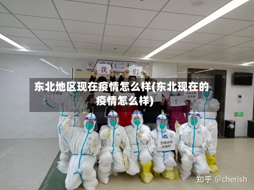 东北地区现在疫情怎么样(东北现在的疫情怎么样)-第2张图片