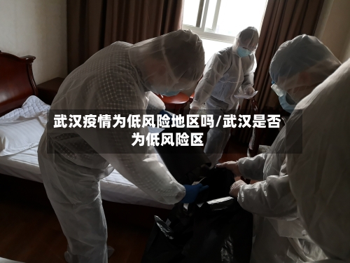 武汉疫情为低风险地区吗/武汉是否为低风险区