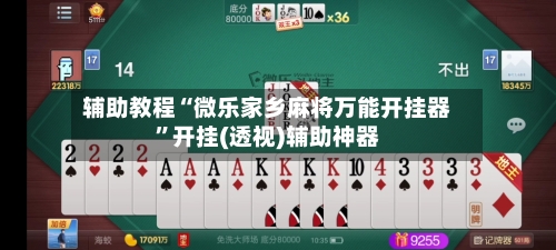 辅助教程“微乐家乡麻将万能开挂器”开挂(透视)辅助神器-第3张图片