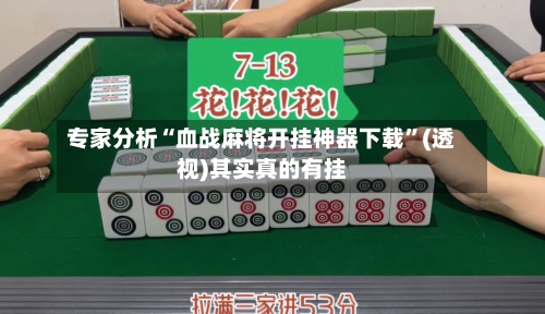 专家分析“血战麻将开挂神器下载”(透视)其实真的有挂-第3张图片
