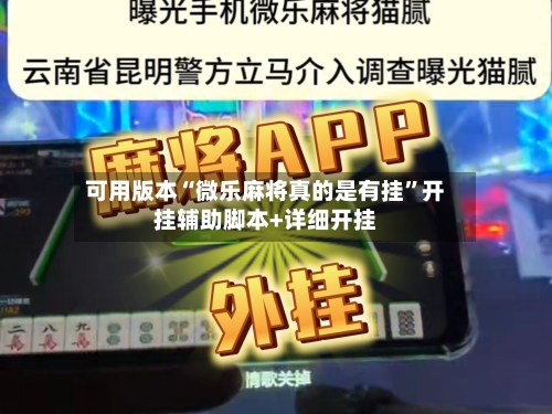 可用版本“微乐麻将真的是有挂	”开挂辅助脚本+详细开挂-第2张图片