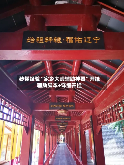 秒懂经验“家乡大贰辅助神器”开挂辅助脚本+详细开挂-第2张图片