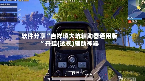 软件分享“吉祥填大坑辅助器通用版	”开挂(透视)辅助神器-第3张图片