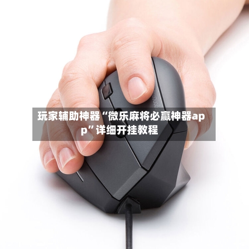 玩家辅助神器“微乐麻将必赢神器app	”详细开挂教程-第2张图片