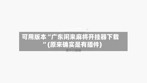 可用版本“广东闲来麻将开挂器下载”(原来确实是有插件)-第2张图片