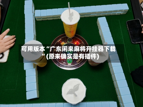 可用版本“广东闲来麻将开挂器下载	”(原来确实是有插件)-第3张图片