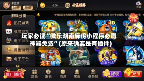 玩家必读“微乐湖南麻将小程序必赢神器免费”(原来确实是有插件)-第3张图片