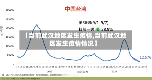 【当前武汉地区发生疫情,当前武汉地区发生疫情情况】-第2张图片