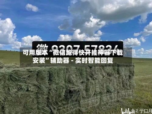 可用版本“微信跑得快开挂神器下载安装	”辅助器 - 实时智能回复-第2张图片
