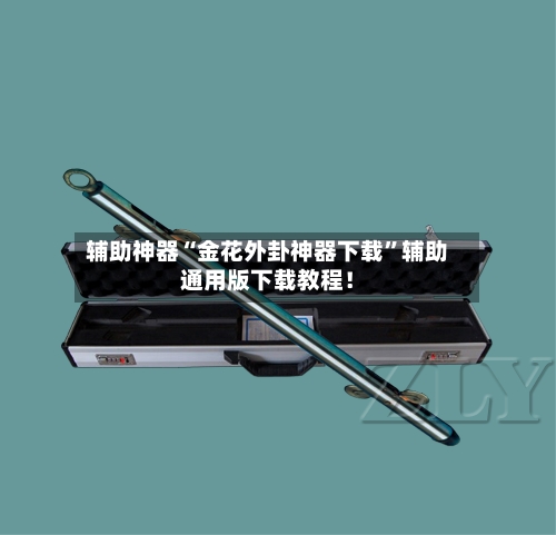 辅助神器“金花外卦神器下载	”辅助通用版下载教程！-第2张图片