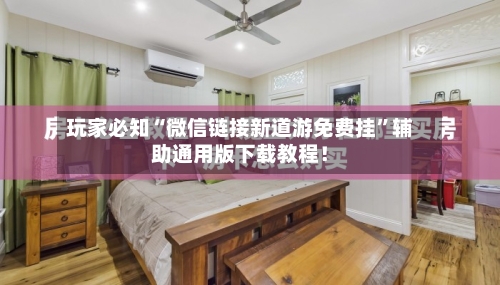 玩家必知“微信链接新道游免费挂”辅助通用版下载教程！-第2张图片