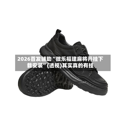 2026首发辅助“微乐福建麻将开挂下载安装”(透视)其实真的有挂-第2张图片