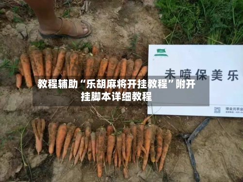 教程辅助“乐胡麻将开挂教程”附开挂脚本详细教程-第3张图片