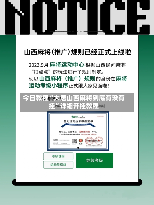 今日教程“大唐山西麻将到底有没有挂”详细开挂教程-第3张图片
