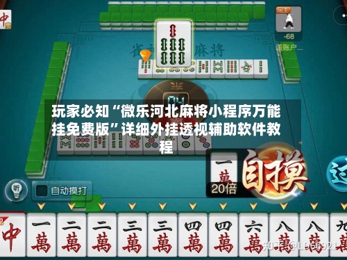 玩家必知“微乐河北麻将小程序万能挂免费版	”详细外挂透视辅助软件教程-第3张图片