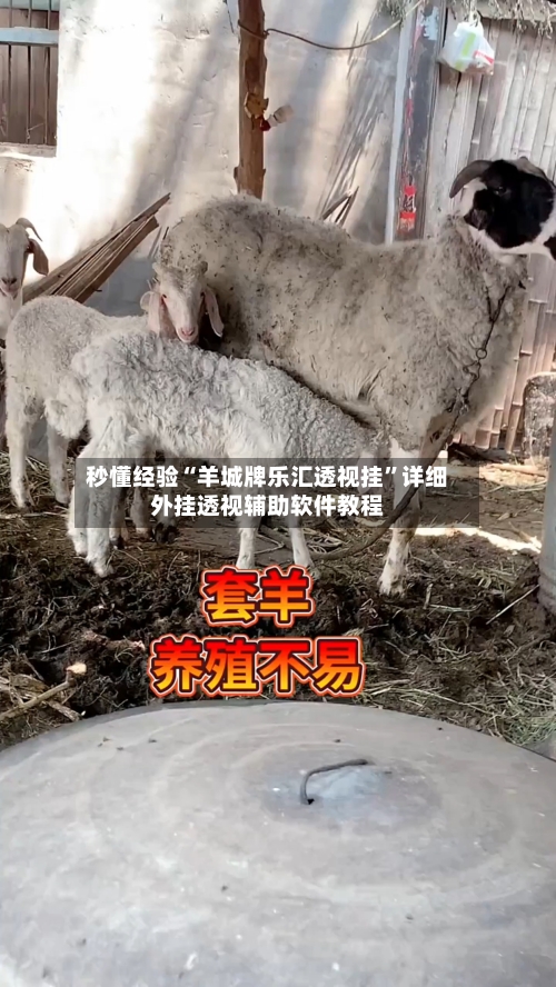 秒懂经验“羊城牌乐汇透视挂	”详细外挂透视辅助软件教程-第2张图片