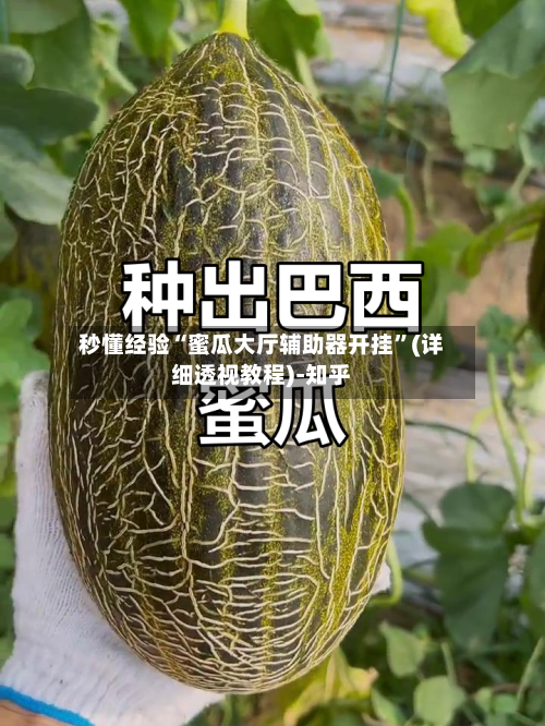 秒懂经验“蜜瓜大厅辅助器开挂”(详细透视教程)-知乎-第2张图片