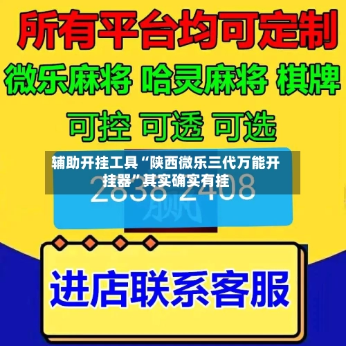 辅助开挂工具“陕西微乐三代万能开挂器	”其实确实有挂-第2张图片
