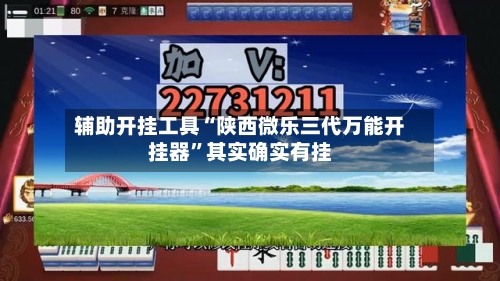辅助开挂工具“陕西微乐三代万能开挂器”其实确实有挂-第3张图片