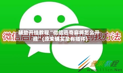 辅助开挂教程“微信迅奇麻将怎么开挂	”(原来确实是有插件)-第2张图片