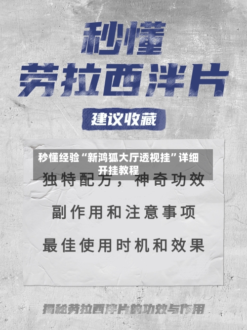 秒懂经验“新鸿狐大厅透视挂”详细开挂教程-第3张图片