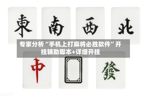 专家分析“手机上打麻将必胜软件”开挂辅助脚本+详细开挂-第2张图片
