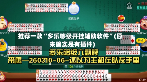 推荐一款“多乐够级开挂辅助软件”(原来确实是有插件)-第2张图片