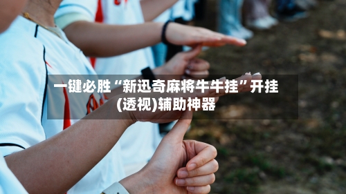 一键必胜“新迅奇麻将牛牛挂	”开挂(透视)辅助神器-第3张图片