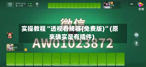 实操教程“透视看牌器(免费版)	”(原来确实是有插件)-第2张图片