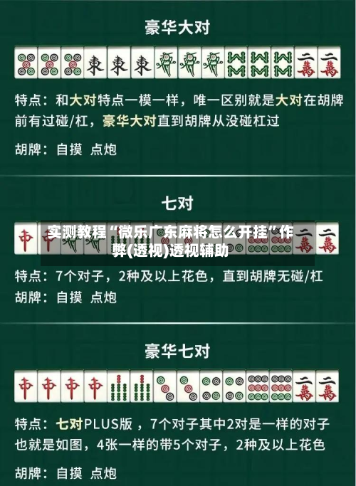 实测教程“微乐广东麻将怎么开挂	”作弊(透视)透视辅助-第2张图片