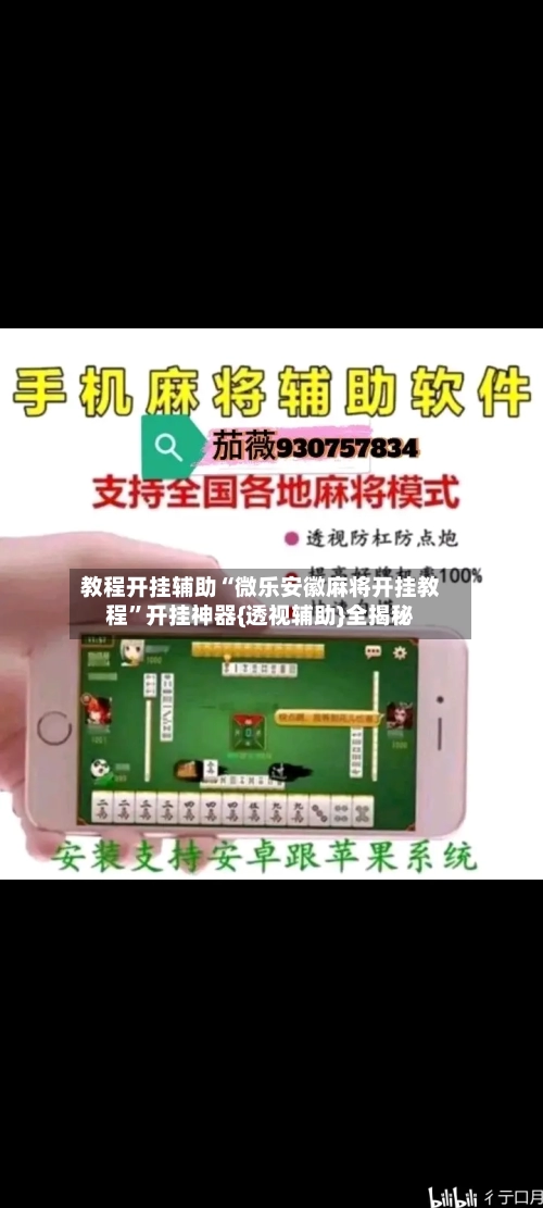 教程开挂辅助“微乐安徽麻将开挂教程”开挂神器{透视辅助}全揭秘-第3张图片