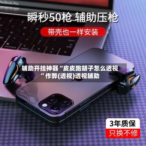 辅助开挂神器“皮皮跑胡子怎么透视	”作弊(透视)透视辅助-第2张图片