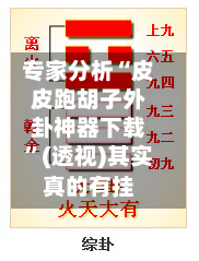 专家分析“皮皮跑胡子外卦神器下载	”(透视)其实真的有挂-第3张图片