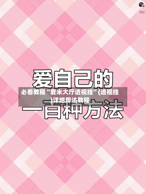 必看教程“爱米大厅透视挂”(透视挂)详细用法教程-第3张图片