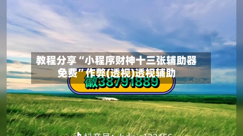 教程分享“小程序财神十三张辅助器免费”作弊(透视)透视辅助-第2张图片