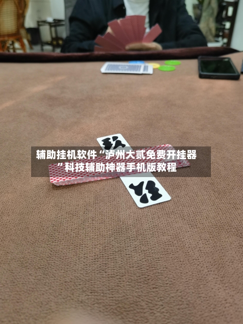 辅助挂机软件“泸州大贰免费开挂器”科技辅助神器手机版教程-第2张图片