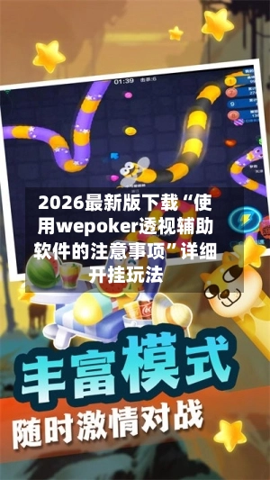 2026最新版下载“使用wepoker透视辅助软件的注意事项”详细开挂玩法-第2张图片