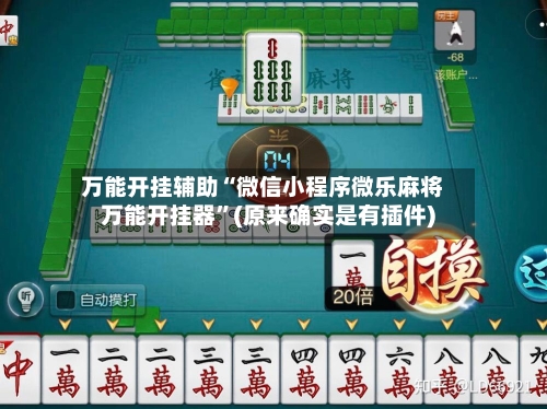 万能开挂辅助“微信小程序微乐麻将万能开挂器”(原来确实是有插件)-第3张图片