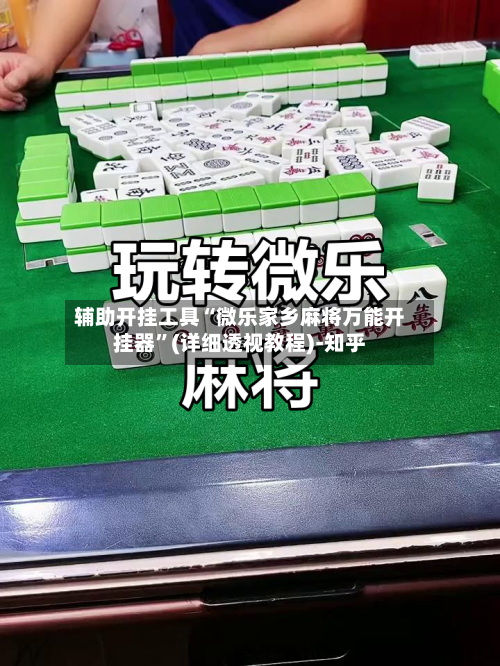 辅助开挂工具“微乐家乡麻将万能开挂器”(详细透视教程)-知乎-第3张图片